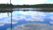 PICTURES/New Brunswick - Fundy National Park/t_Beaver Pond.jpg